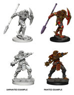Nolzurs Marvelous Miniatures - Dragonborn Male Fighter with Spear